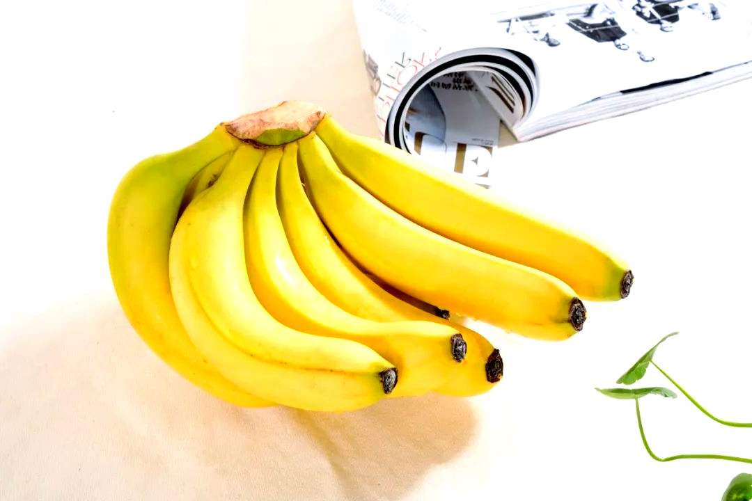 香蕉久久久久久AV成人_SHE5.979.275